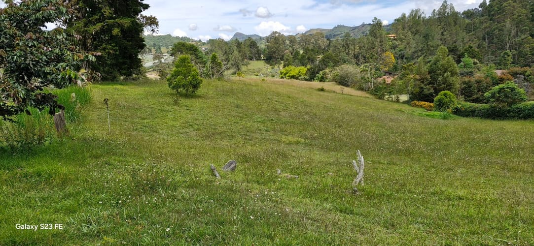 Lote en venta en Pantanillo, El Retiro, 2350 m² · foto 2 de 8