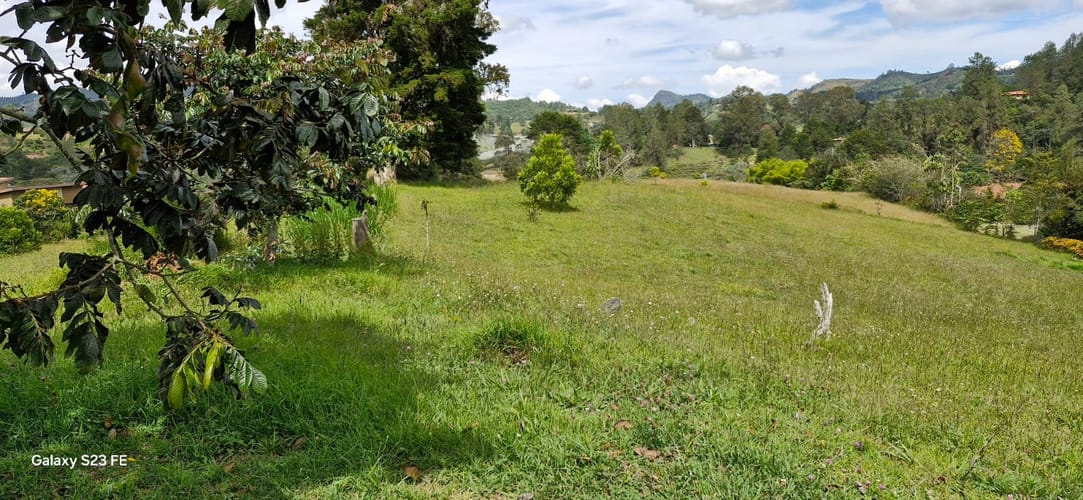 Lote en venta en Pantanillo, El Retiro, 2350 m² · foto 6 de 8