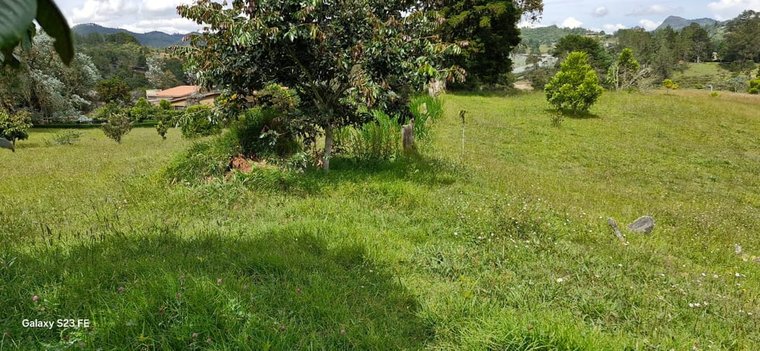 Lote en venta en Pantanillo, El Retiro, 2350 m² · foto 7 de 8