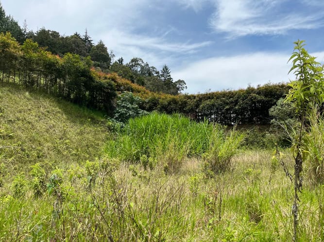 Lote en venta en El Tablazo, Rionegro, 1564 m² · foto 3 de 21