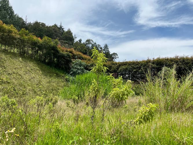 Lote en venta en El Tablazo, Rionegro, 1564 m² · foto 4 de 21