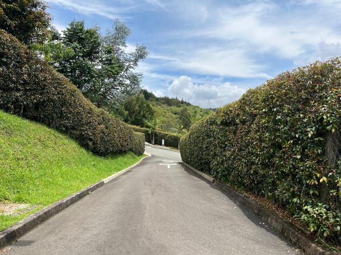 Lote en venta en El Tablazo, Rionegro, 1564 m² · foto 8 de 21