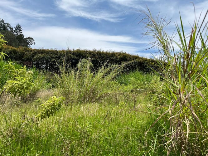 Lote en venta en El Tablazo, Rionegro, 1564 m² · foto 10 de 21