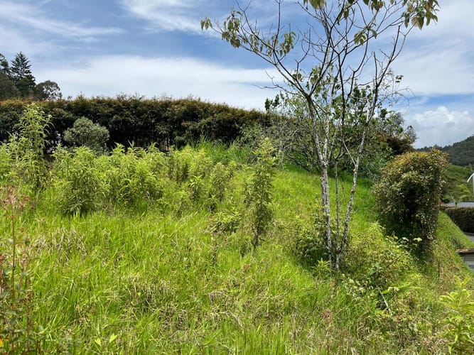 Lote en venta en El Tablazo, Rionegro, 1564 m² · foto 11 de 21