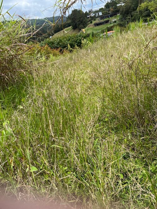 Lote en venta en El Tablazo, Rionegro, 1564 m² · foto 13 de 21