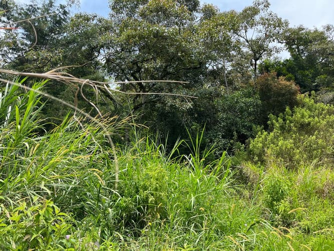 Lote en venta en El Tablazo, Rionegro, 1564 m² · foto 14 de 21