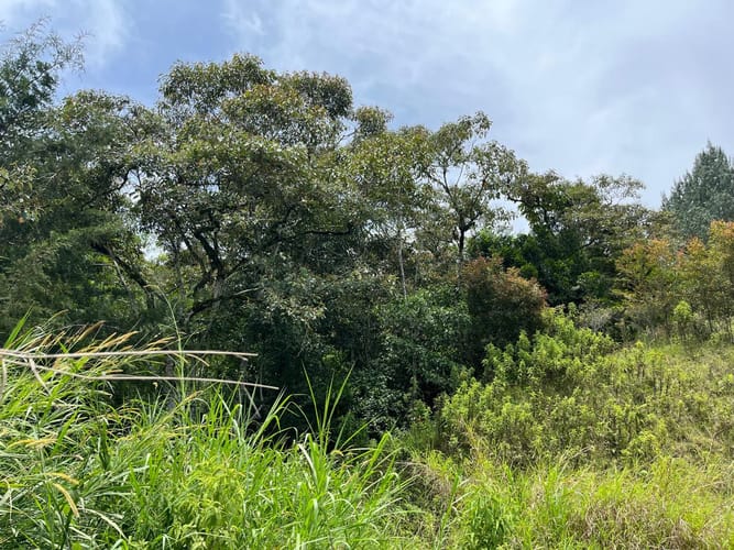 Lote en venta en El Tablazo, Rionegro, 1564 m² · foto 15 de 21