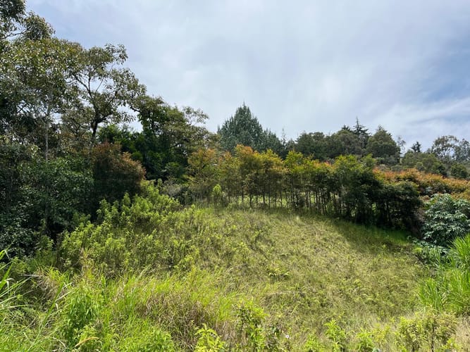 Lote en venta en El Tablazo, Rionegro, 1564 m² · foto 16 de 21