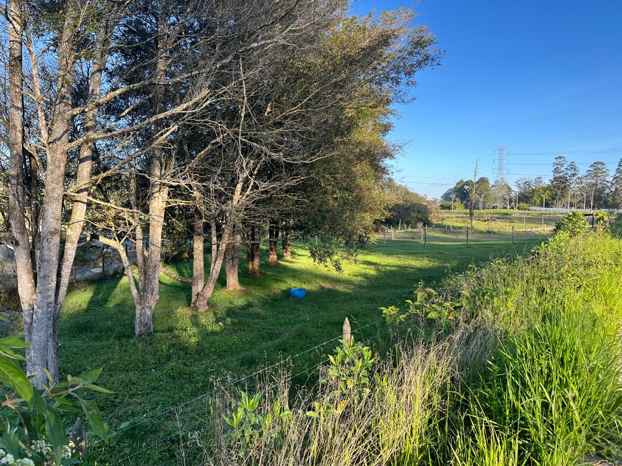 Land in Llano Grande (1977 m²) for Sale - 4