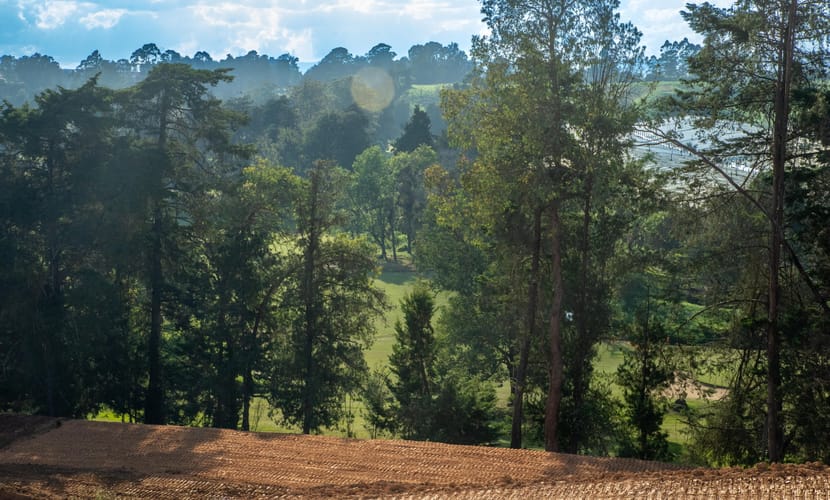 Lote en venta en La Macarena, Rionegro, 1048 m² · foto 7 de 20