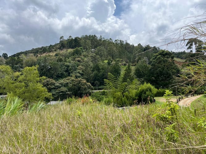 Lote en venta en El Tablazo, Rionegro, 1564 m² · foto 19 de 21