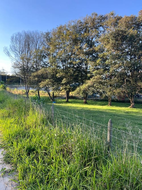 Lote en venta en Llano Grande, Rionegro, 1977 m² · foto 7 de 11