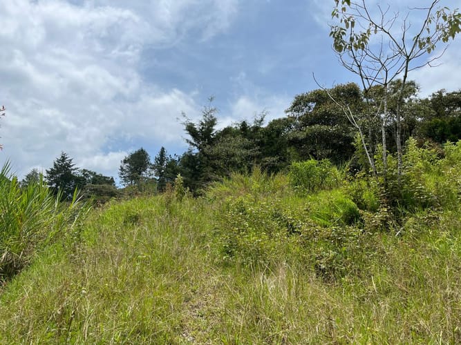 Lote en venta en El Tablazo, Rionegro, 1564 m² · foto 20 de 21