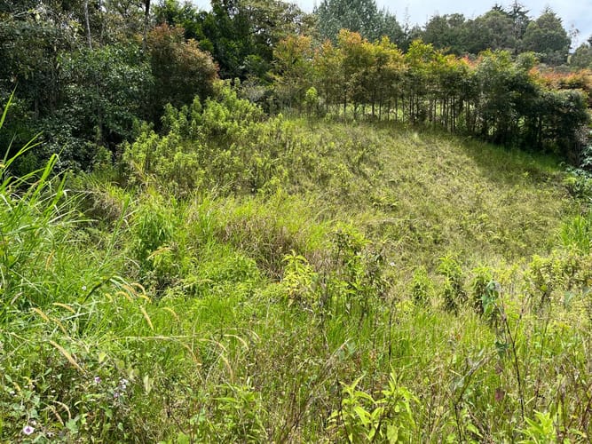 Lote en venta en El Tablazo, Rionegro, 1564 m² · foto 21 de 21