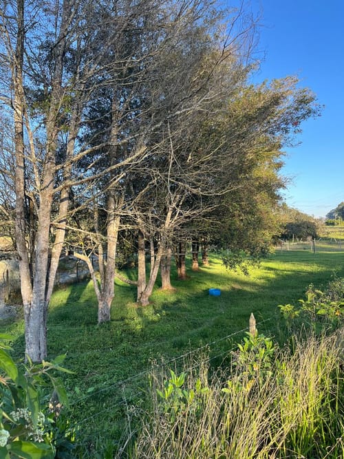 Lote en venta en Llano Grande, Rionegro, 1977 m² · foto 9 de 11