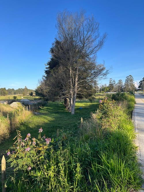 Lote en venta en Llano Grande, Rionegro, 1977 m² · foto 11 de 11
