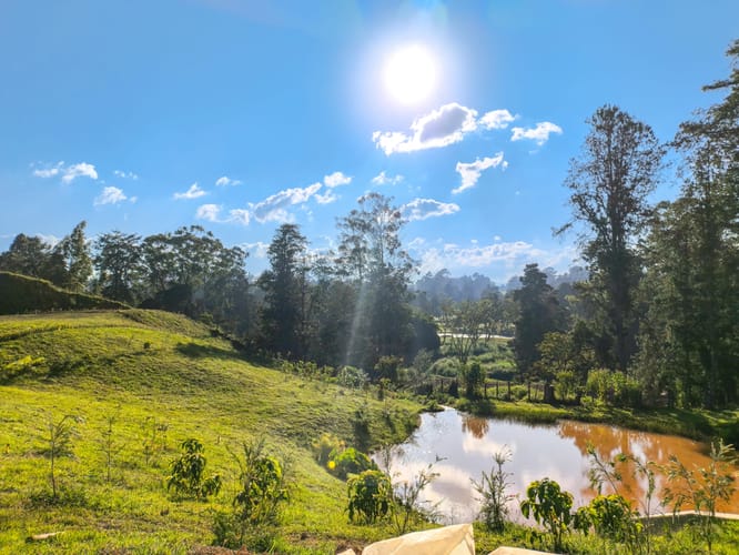 Lote en venta en La Macarena, Rionegro, 1048 m² · foto 14 de 20