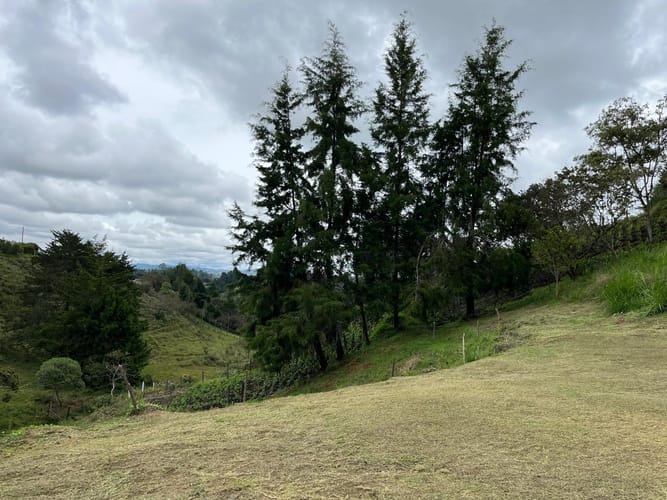 Finca en venta en Playa Rica-Rancheria, Rionegro, 320 m² · foto 8 de 24