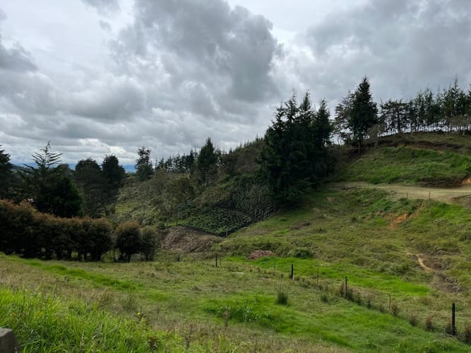 Finca en venta en Playa Rica-Rancheria, Rionegro, 320 m² · foto 23 de 24