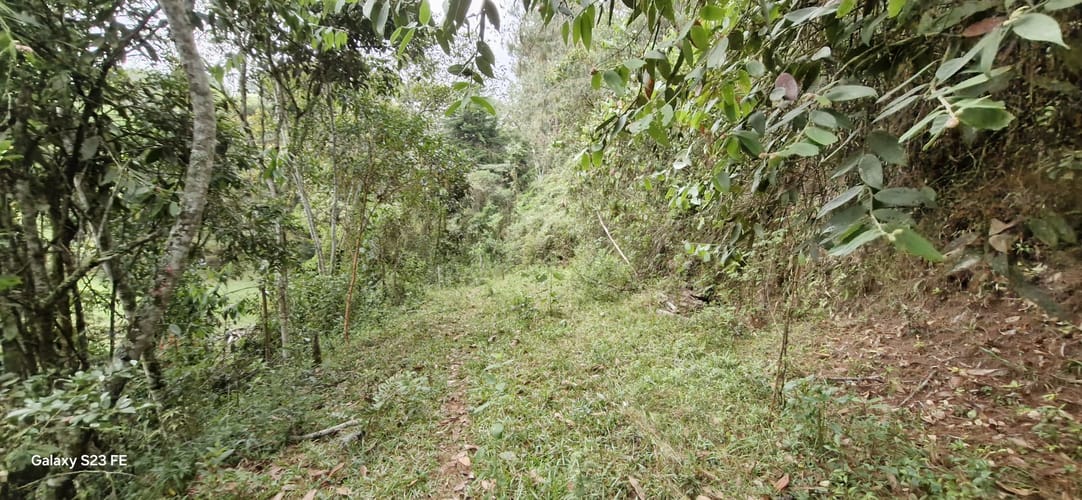 Lote en venta en La Convencion, Rionegro, 27417 m² · foto 2 de 12