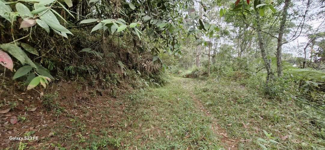 Lote en venta en La Convencion, Rionegro, 27417 m² · foto 3 de 12