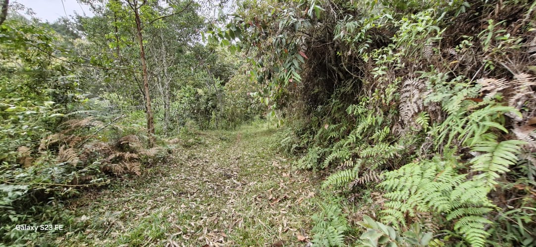 Lote en venta en La Convencion, Rionegro, 27417 m² · foto 4 de 12