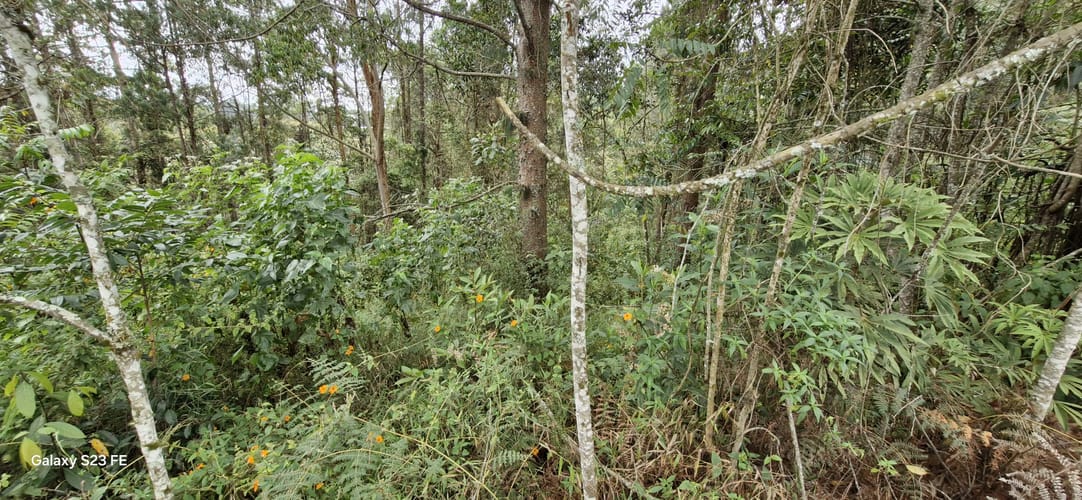 Lote en venta en La Convencion, Rionegro, 27417 m² · foto 6 de 12