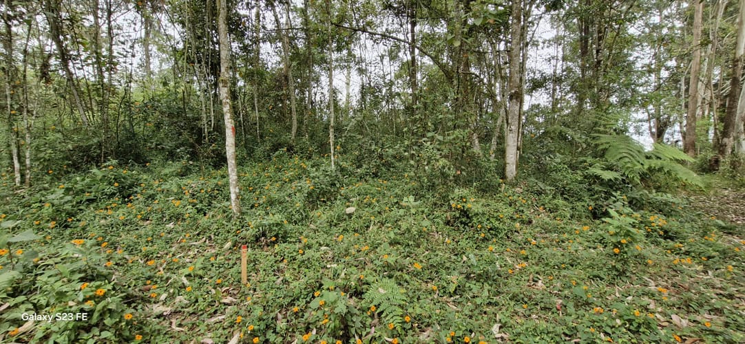 Lote en venta en La Convencion, Rionegro, 27417 m² · foto 7 de 12