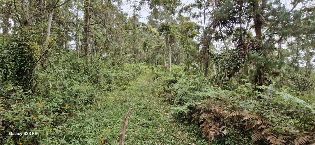 Lote en venta en La Convencion, Rionegro, 27417 m² · foto 8 de 12