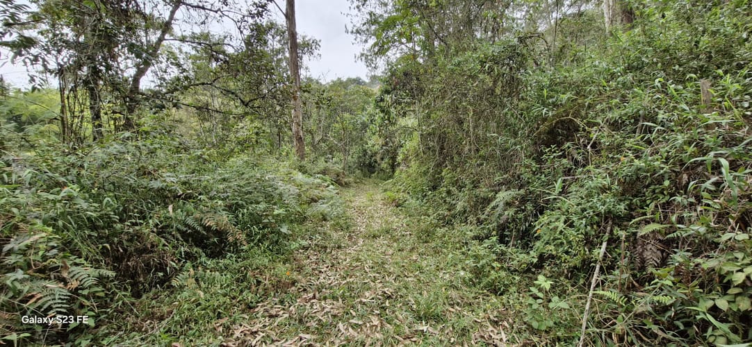Lote en venta en La Convencion, Rionegro, 27417 m² · foto 9 de 12
