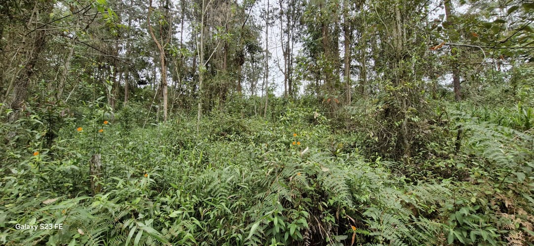Lote en venta en La Convencion, Rionegro, 27417 m² · foto 10 de 12