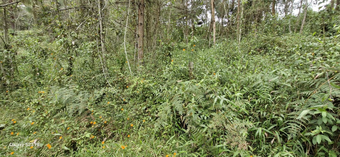 Lote en venta en La Convencion, Rionegro, 27417 m² · foto 11 de 12