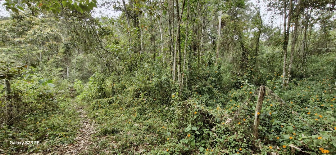 Lote en venta en La Convencion, Rionegro, 27417 m² · foto 12 de 12