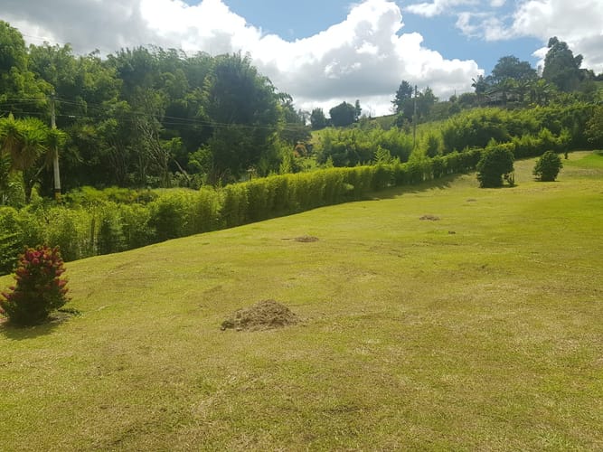 Lote en venta en Santa Ana, Rionegro, 4000 m² · foto 4 de 10