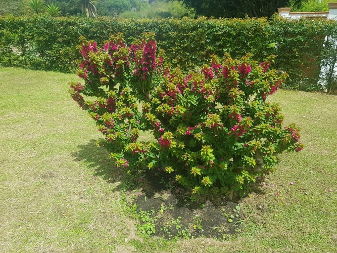 Lote en venta en Santa Ana, Rionegro, 4000 m² · foto 6 de 10
