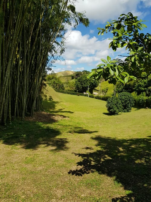 Lote en venta en Santa Ana, Rionegro, 4000 m² · foto 8 de 10