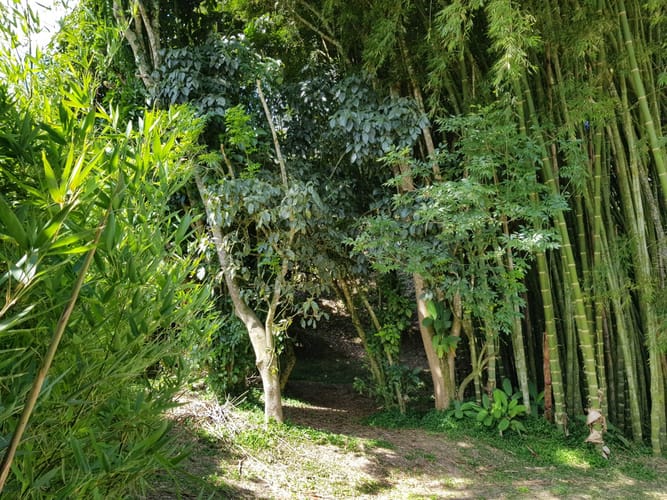 Lote en venta en Santa Ana, Rionegro, 4000 m² · foto 10 de 10
