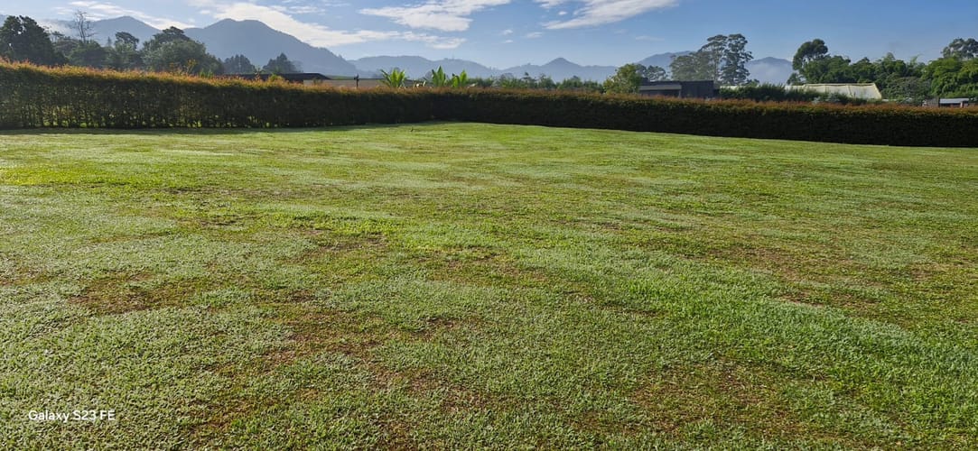 Lote en venta en El Carmen de Viboral, 7623 m² · foto 7 de 12