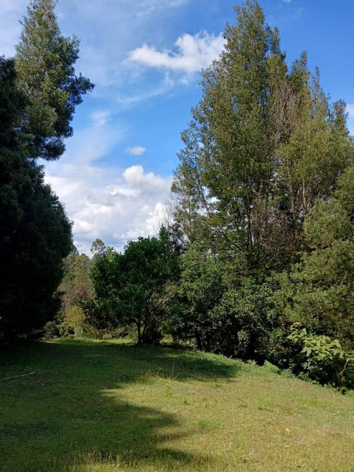 Lote en venta en Aeropuerto, Rionegro, 8625 m² · foto 2 de 9