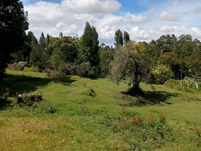 Lote en venta en Aeropuerto, Rionegro, 8625 m² · foto 4 de 9