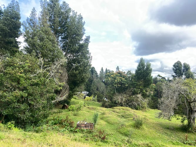 Lote en venta en Aeropuerto, Rionegro, 8625 m² · foto 5 de 9