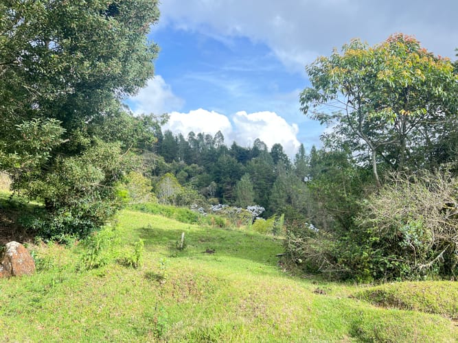Lote en venta en Aeropuerto, Rionegro, 8625 m² · foto 6 de 9