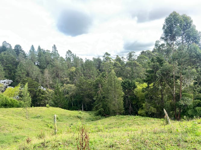 Lote en venta en Aeropuerto, Rionegro, 8625 m² · foto 9 de 9