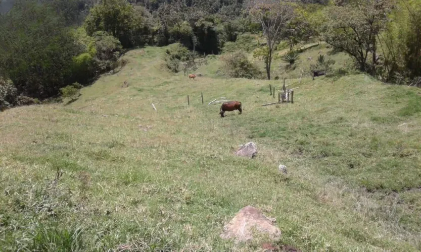 Finca en venta en El Retiro, 18000 m² · foto 5 de 20