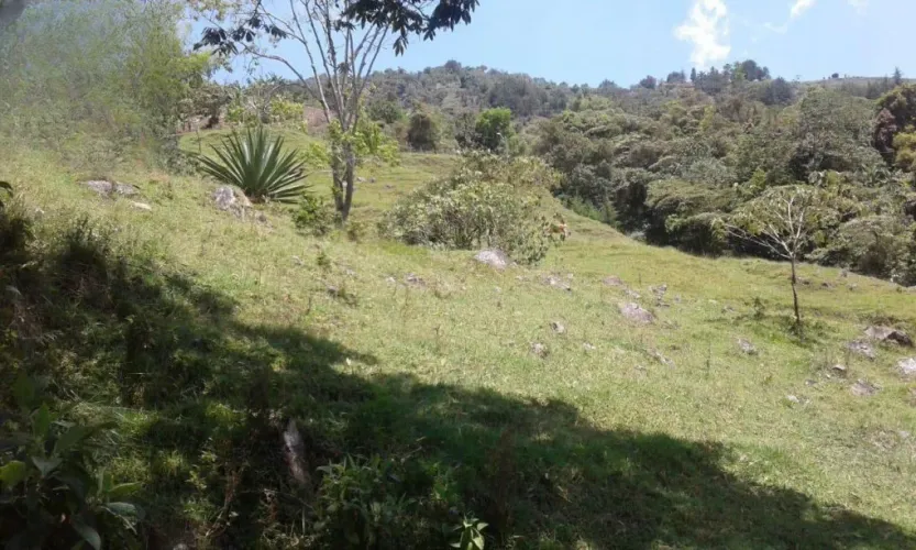 Finca en venta en El Retiro, 18000 m² · foto 9 de 20