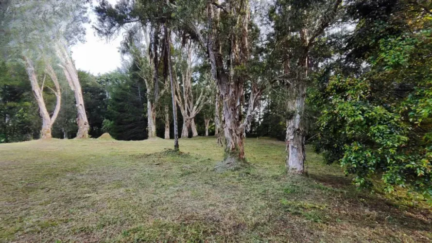 Lote en venta en Centro, Rionegro, 2737 m² · foto 4 de 20