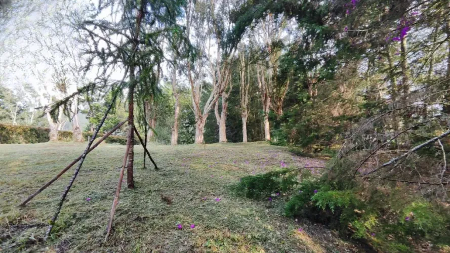 Lote en venta en Centro, Rionegro, 2737 m² · foto 6 de 20