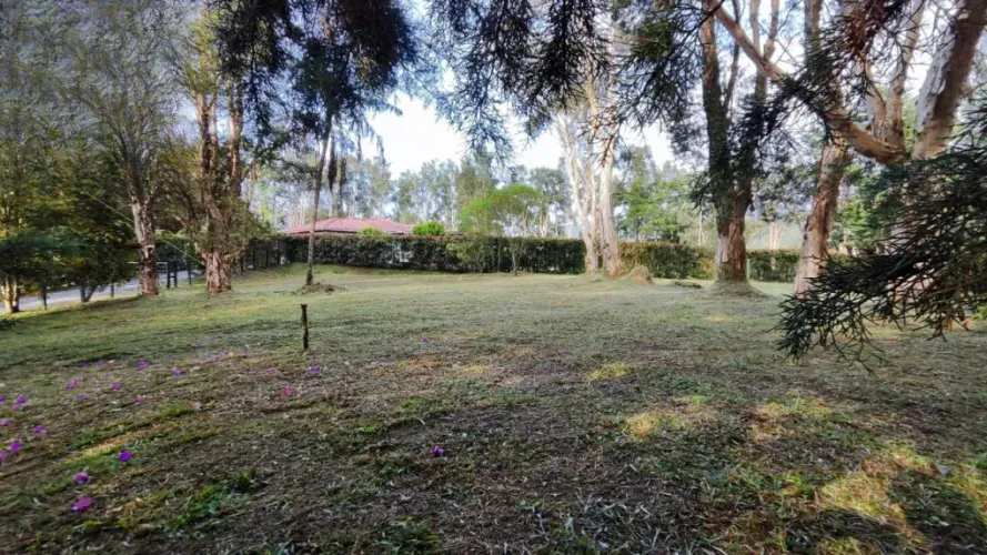 Lote en venta en Centro, Rionegro, 2737 m² · foto 8 de 20