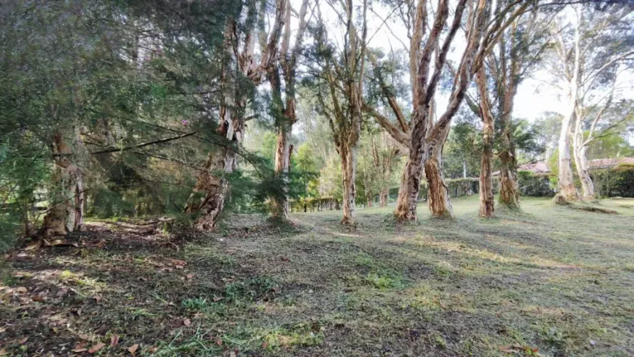Lote en venta en Centro, Rionegro, 2737 m² · foto 10 de 20