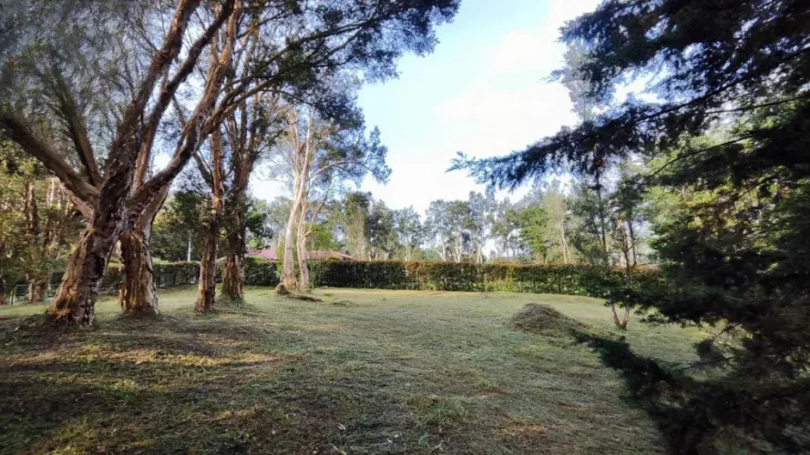 Lote en venta en Centro, Rionegro, 2737 m² · foto 11 de 20